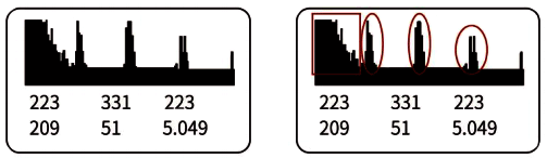 共振形成的回波信號