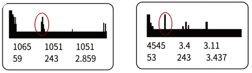 正常的反射波信號